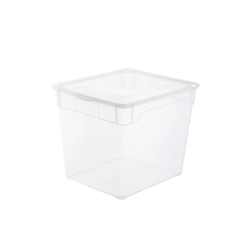 Box 31 l CLEAR