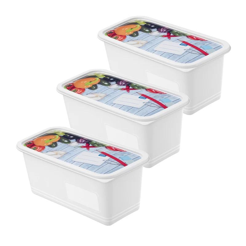 3er Set Gefrierdosen 1,5 l DOMINO