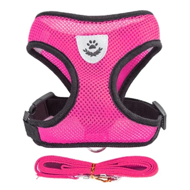 PawEase Mesh Harness Set – Verstellbares Katzen- und Kleintiergeschirr mit Leine