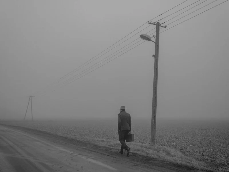 Man In The Fog