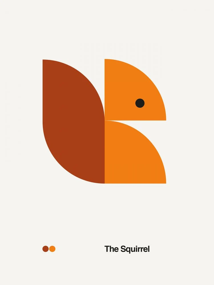 Geometric Squirrel