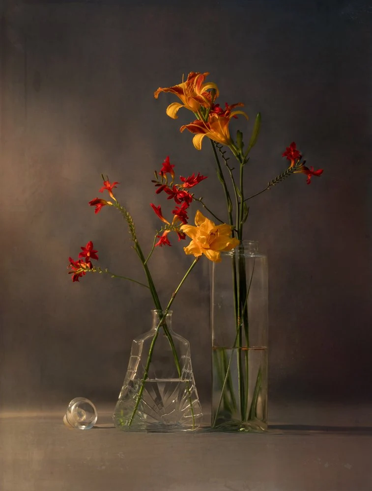 Vibrant Blooms in Light