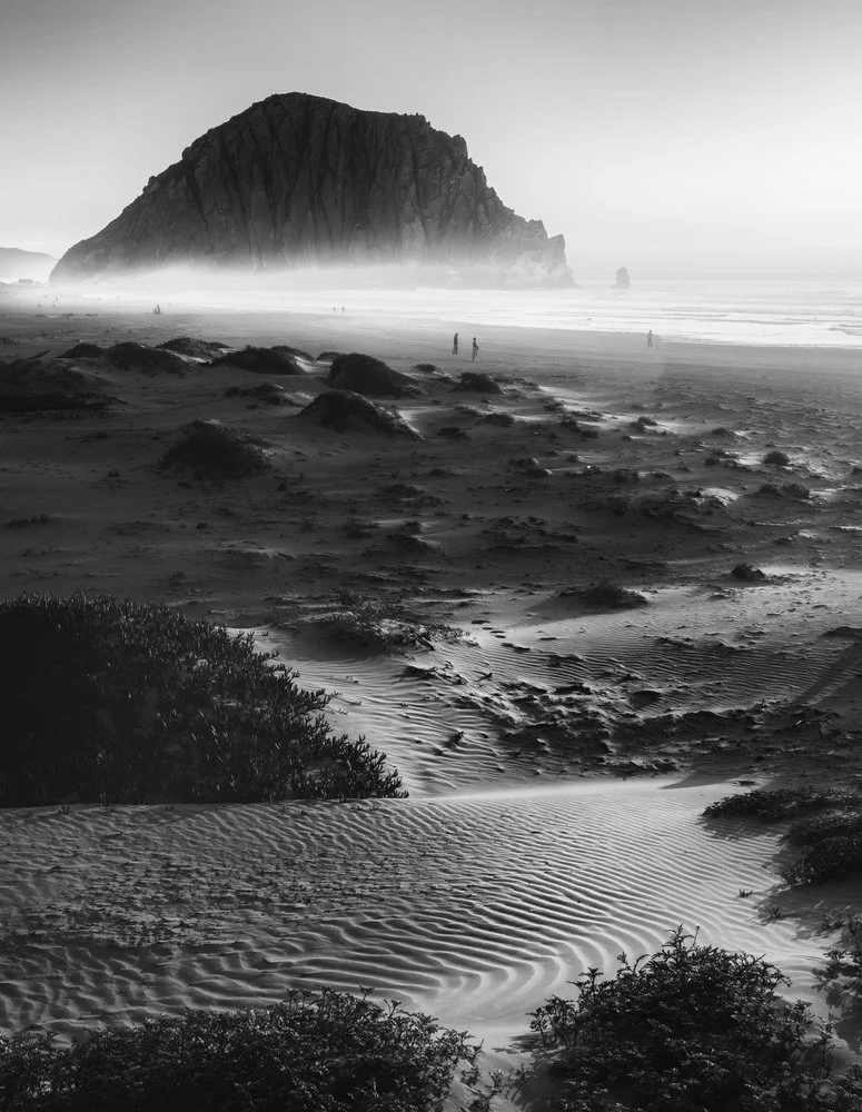 Misty Beach Landscape