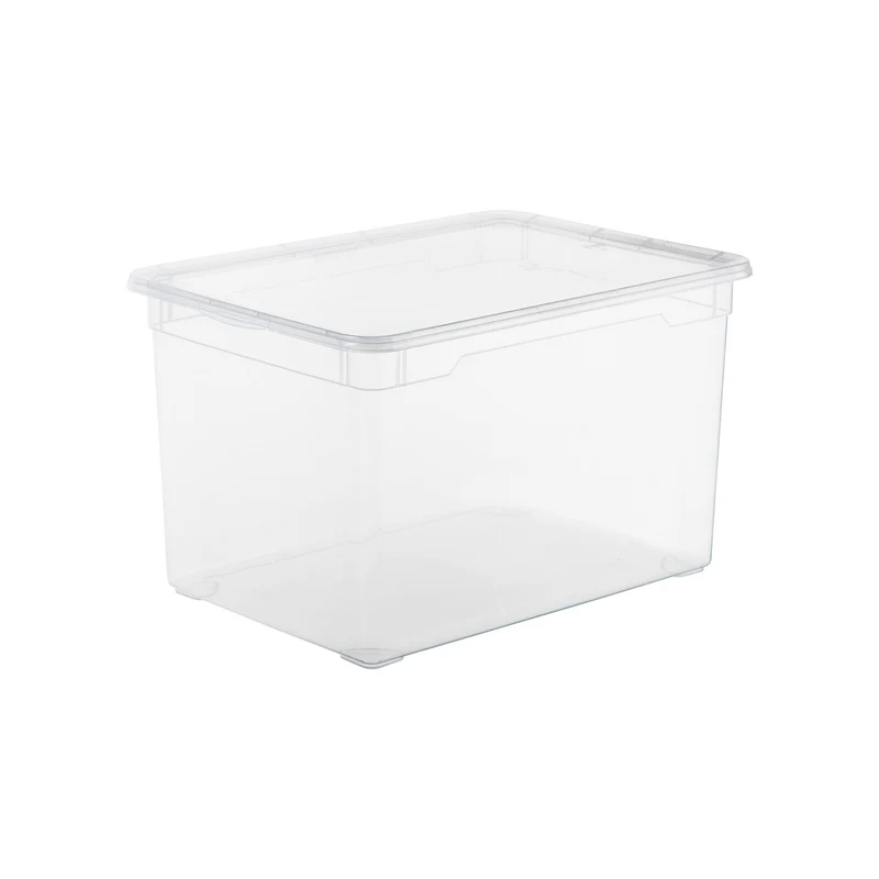 Box Maxi 46 l CLEAR