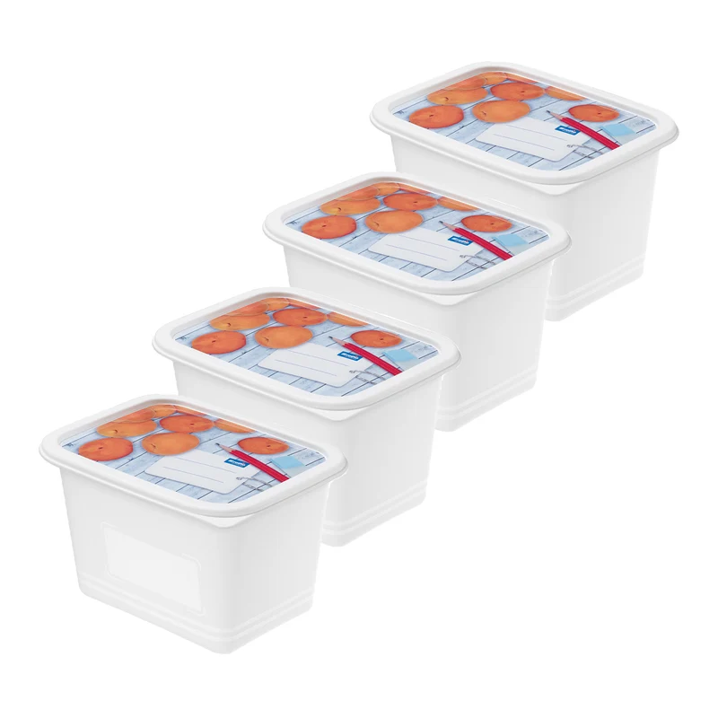 4er Set Gefrierdose 1 l DOMINO