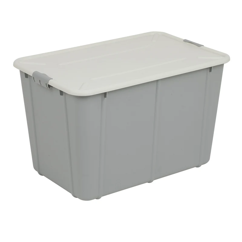 BranQ Velur 60L Aufbewahrungsbox mit Deckel hellgrau