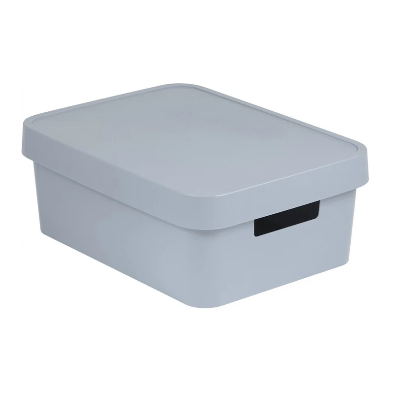 Aufbewahrungsbox mit Deckel Curver Infinity 11L grau