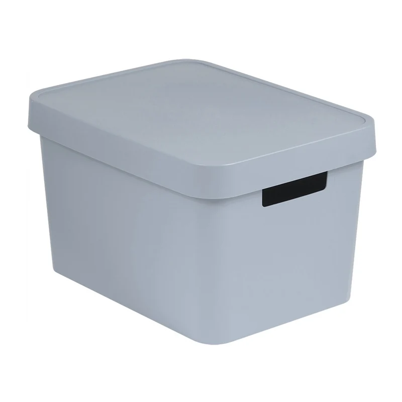 Aufbewahrungsbox mit Deckel Curver Infinity 17L grau