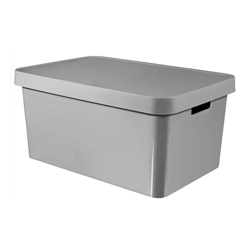 Curver 233941 Infinity Aufbewahrungsbox mit Deckel 45L Grau mit Griffen