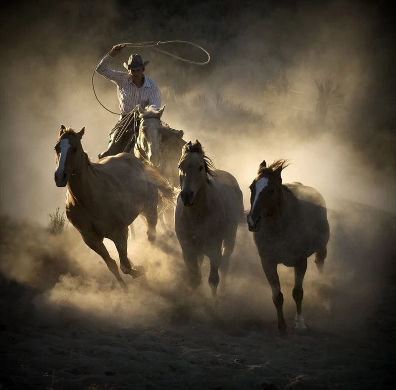Western Horse Chase