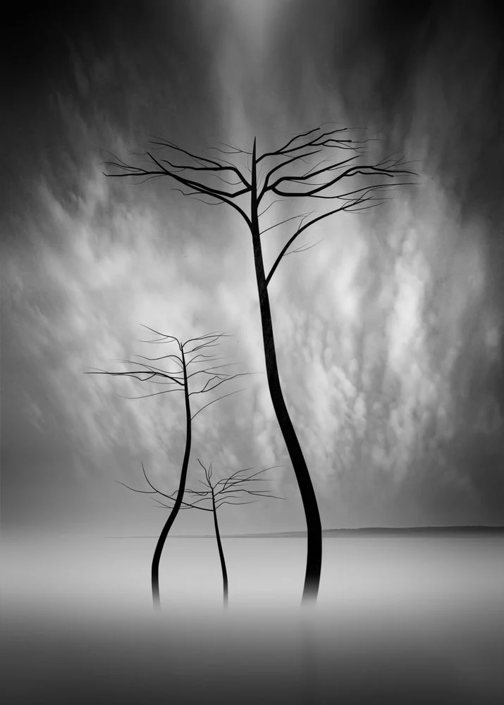 Ethereal Treescape