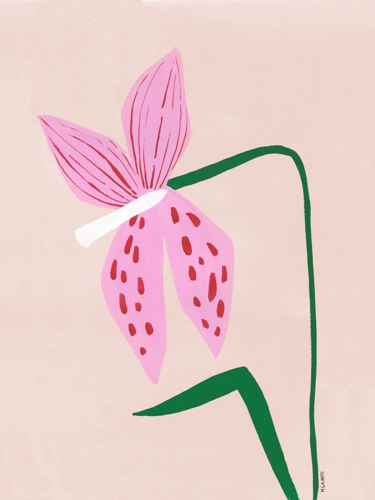 Pink Botanical Bloom