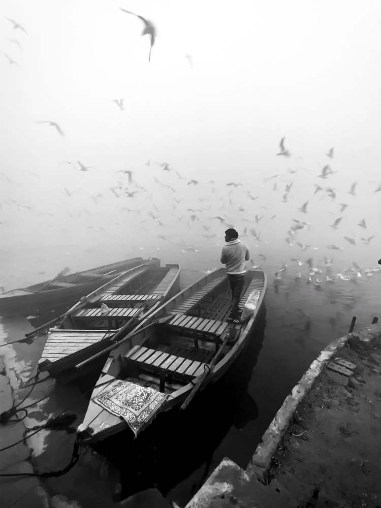 Man Feeding Birds Fog