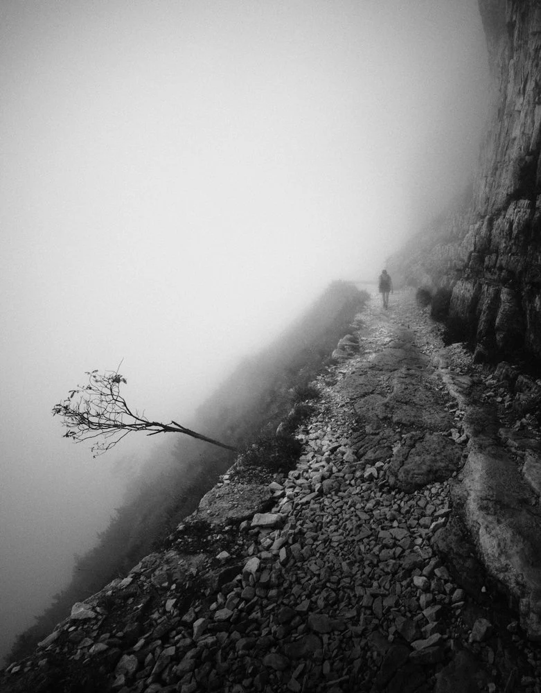 Misty Mountain Path