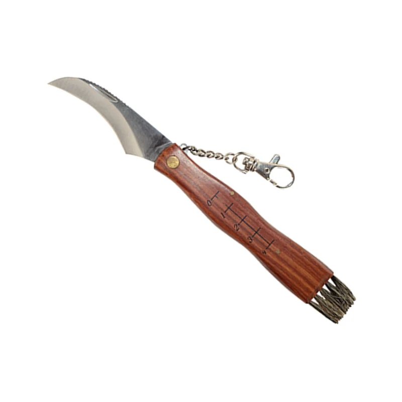 Pilzmesser mit Bürste und Lineal Klappmesser Geschärft Holzgriff Hochwertiger Stahl 21cm