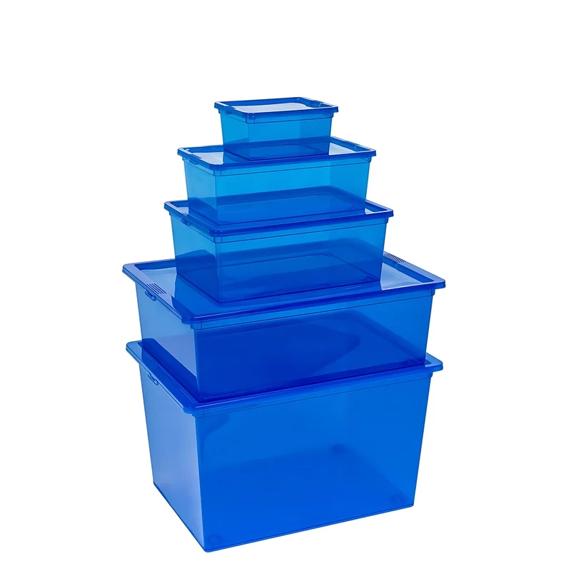Boxen-Set 5tlg. in Transparent Blau : Größe XS bis XL