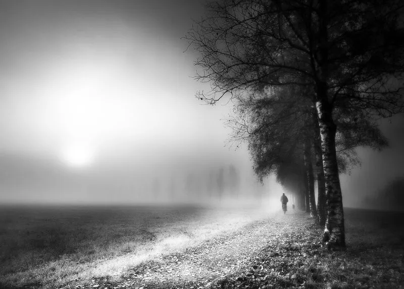 Foggy Morning