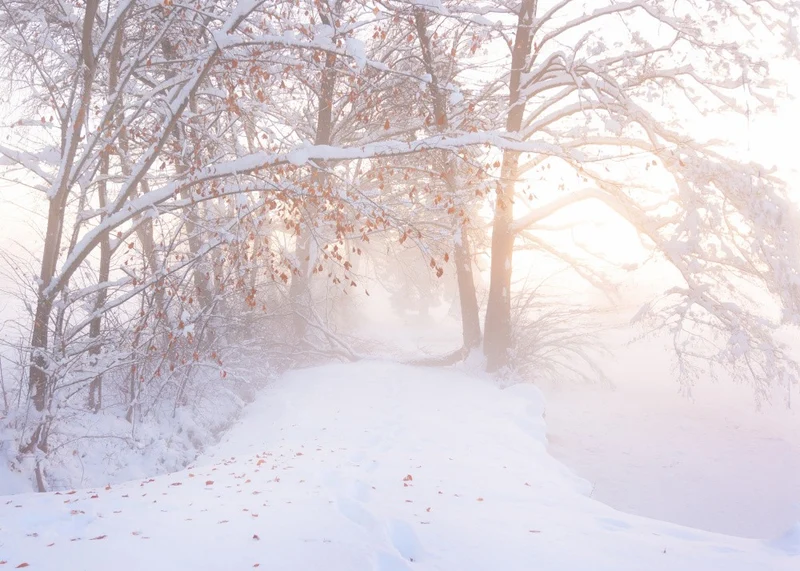 Winterlicht