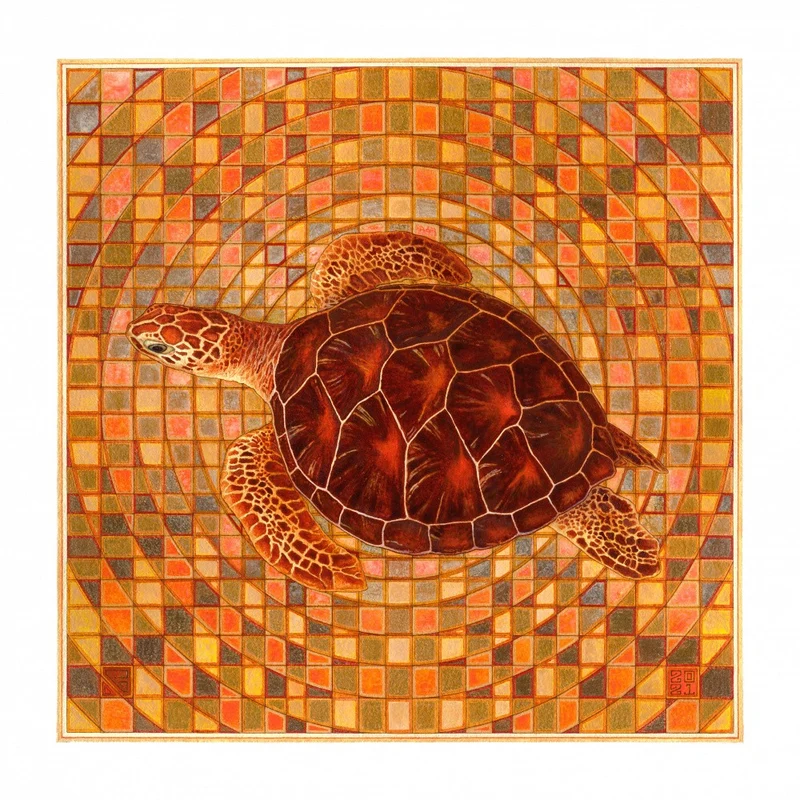 Tortuga I
