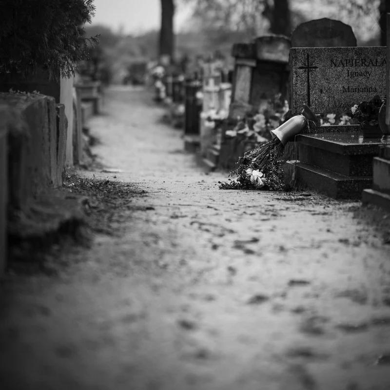 Solemn Cemetery Path