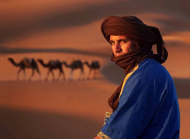Desert Man Camel Journey