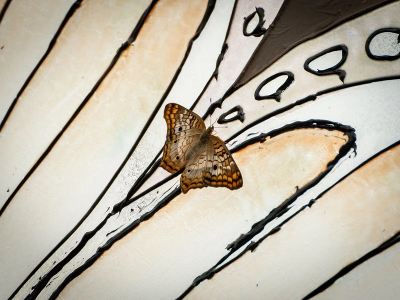 Delicate Butterfly Design