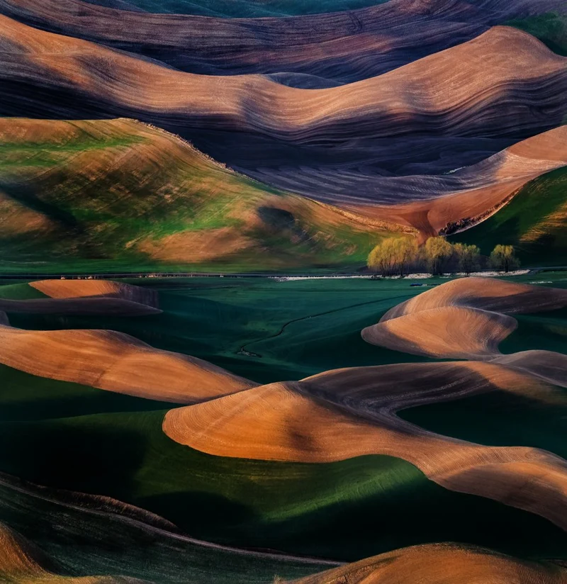 Hills of Magic