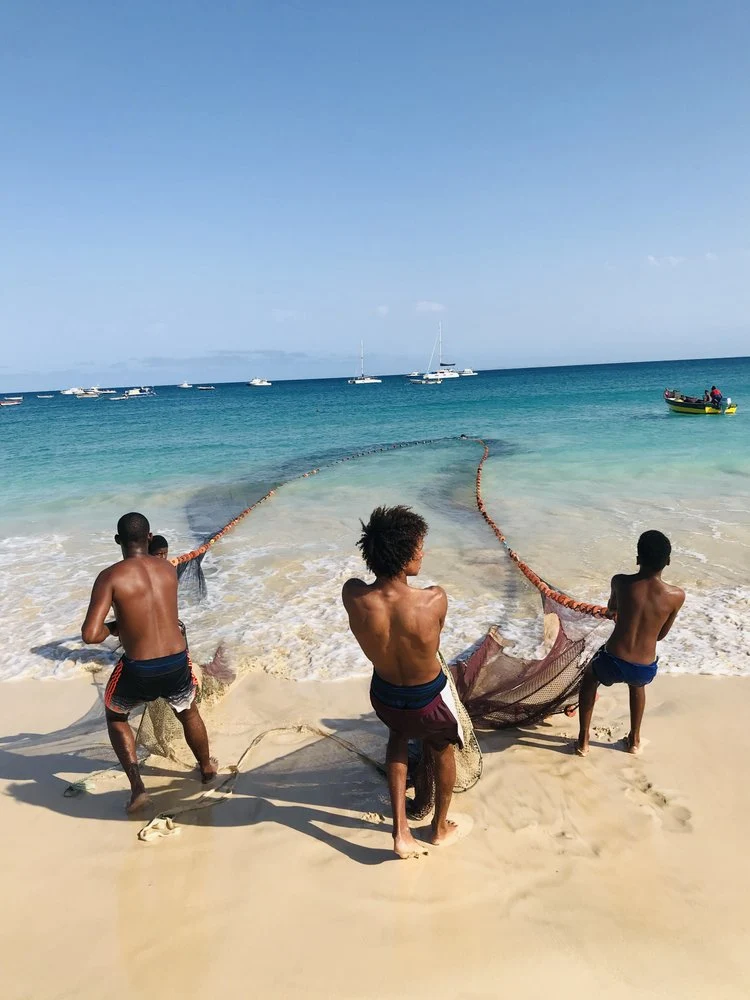 Beach Net Fishing