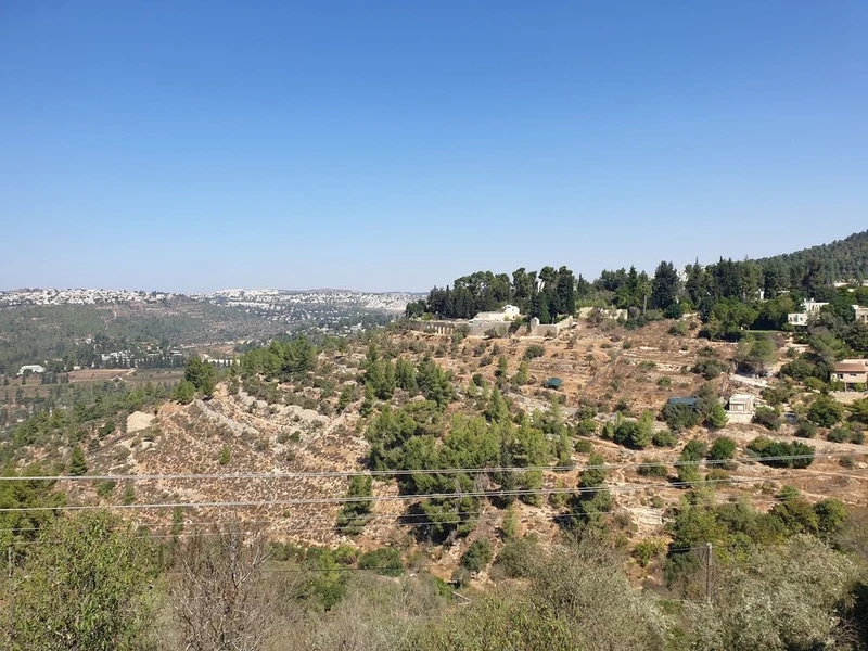 Sunny Hills City View