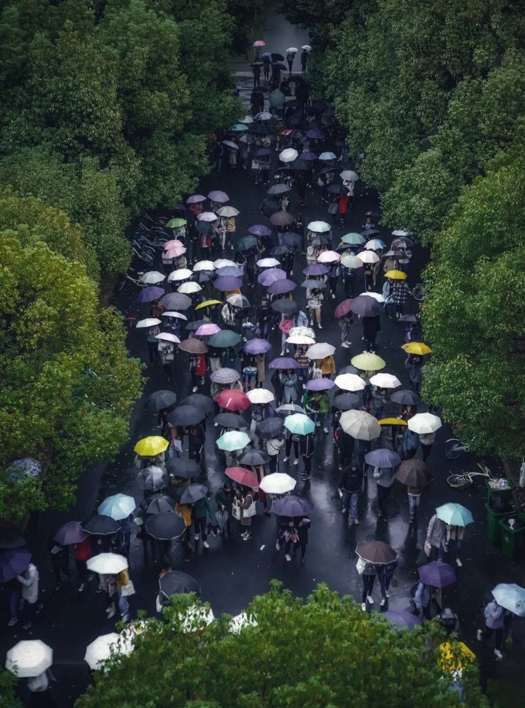 Crowd of Umbrellas