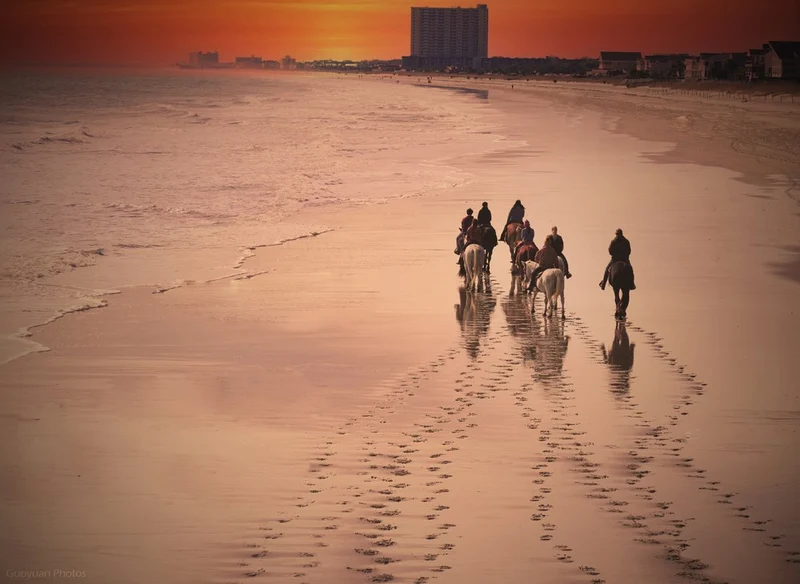 Golden Hour Beach Ride