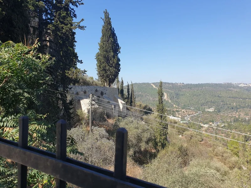 Hilly Landscape View