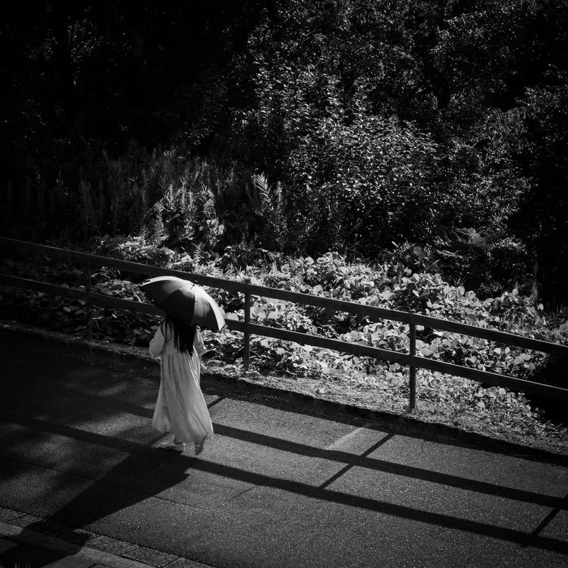Solitary Walk with Umbrella