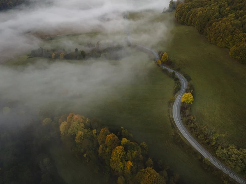 Misty Autumn Road