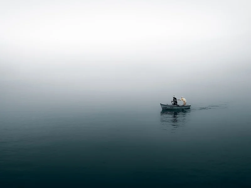 Misty Morning Row
