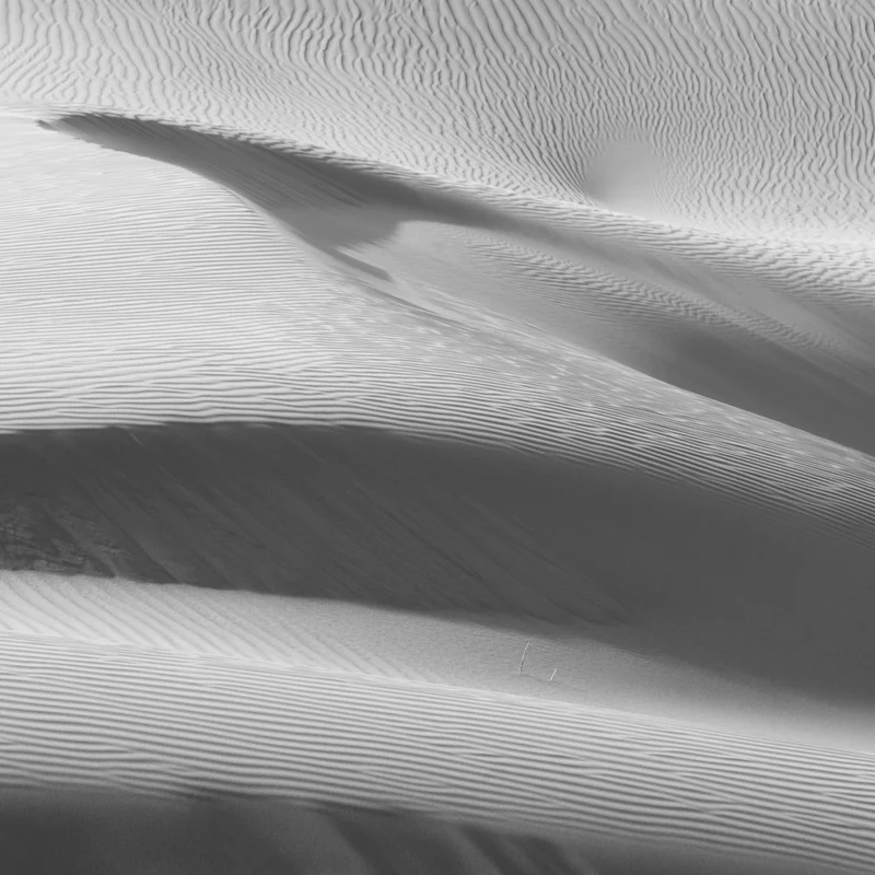Desert Dune Waves