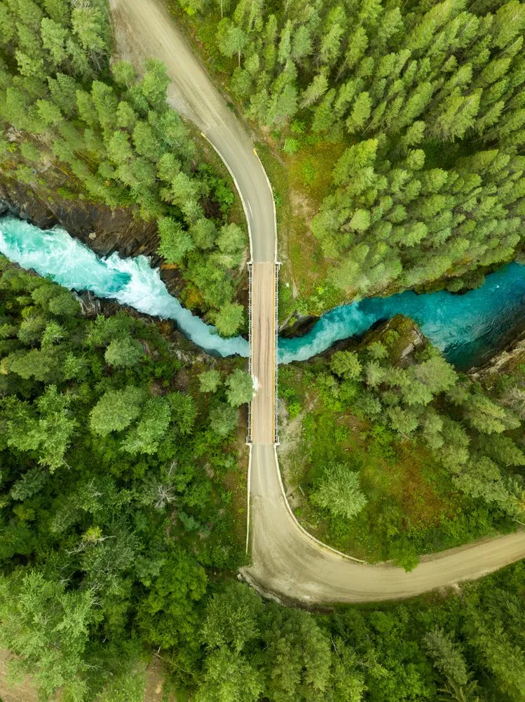 Turquoise River Forest Road