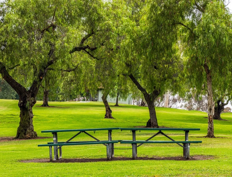 Empty Picnic Tables In Green Park