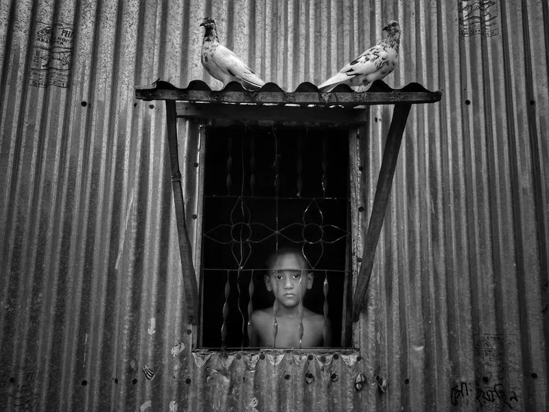 Boy and Pigeons Window