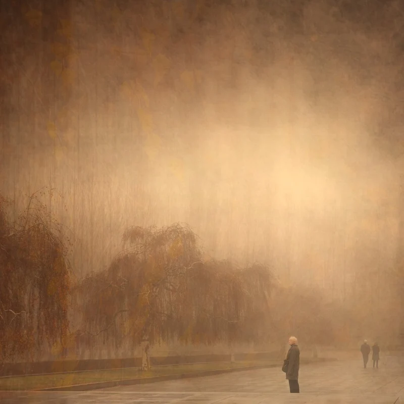 Dreamy Autumn Walk