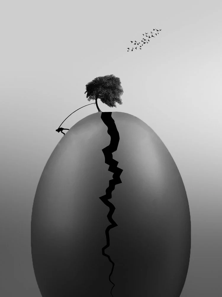 Growth From Struggle