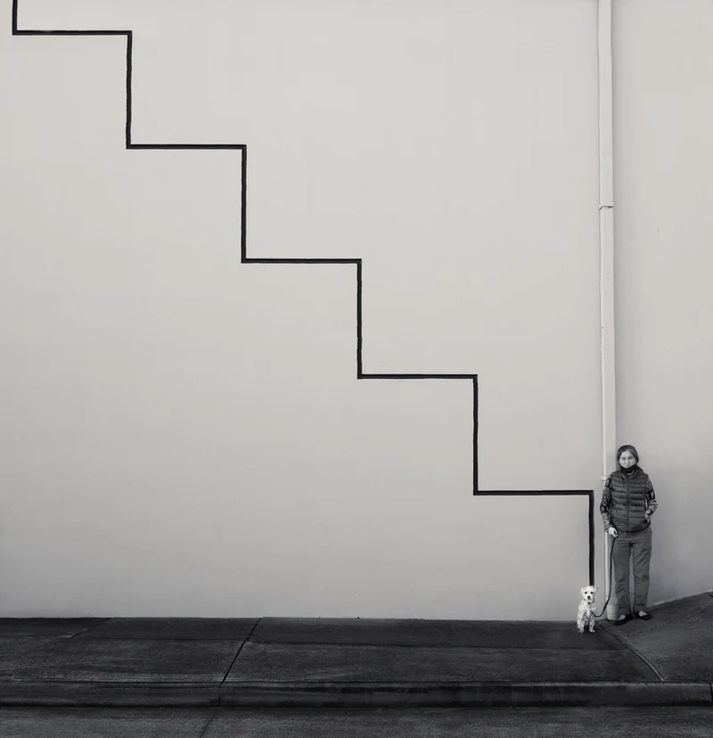 Optical Staircase Dog Walk