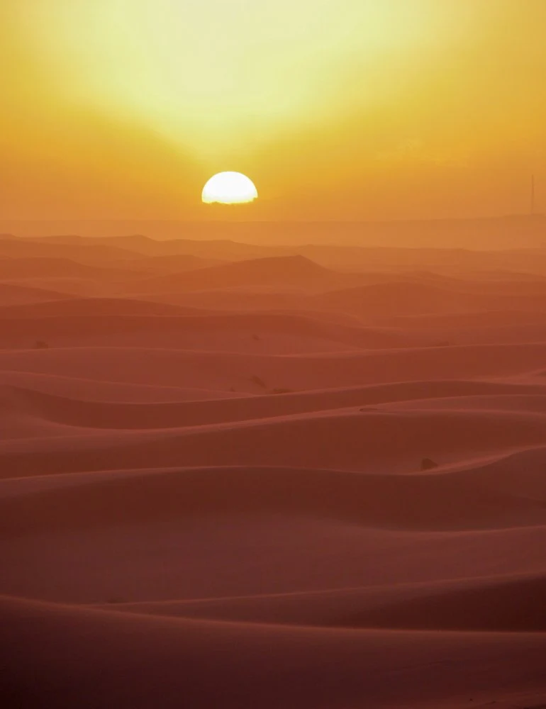 Golden Desert Sunrise