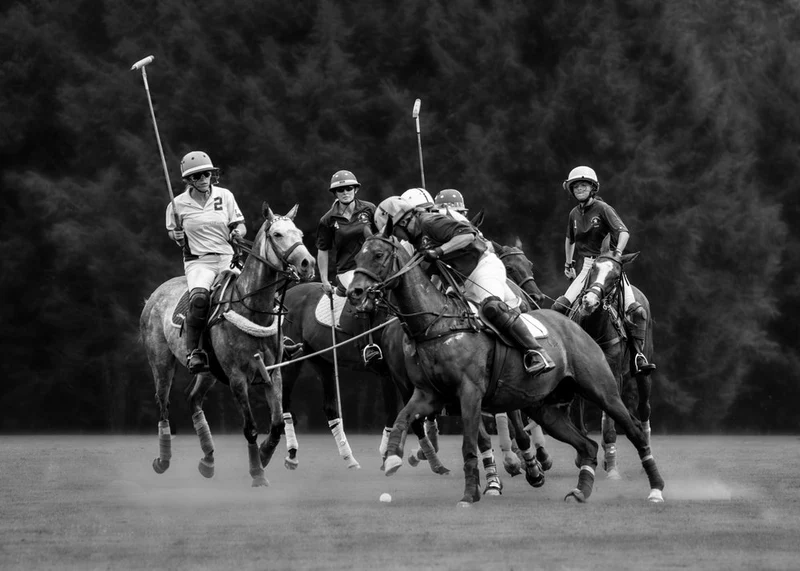 Dynamic Polo Game