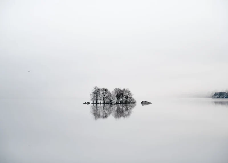 Misty Island Reflection