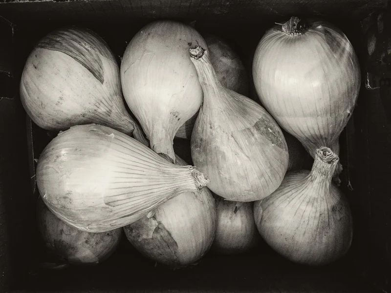 Rustic Onions Still Life
