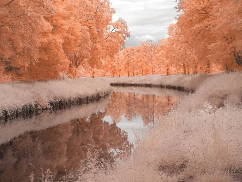 Dreamy Autumn River
