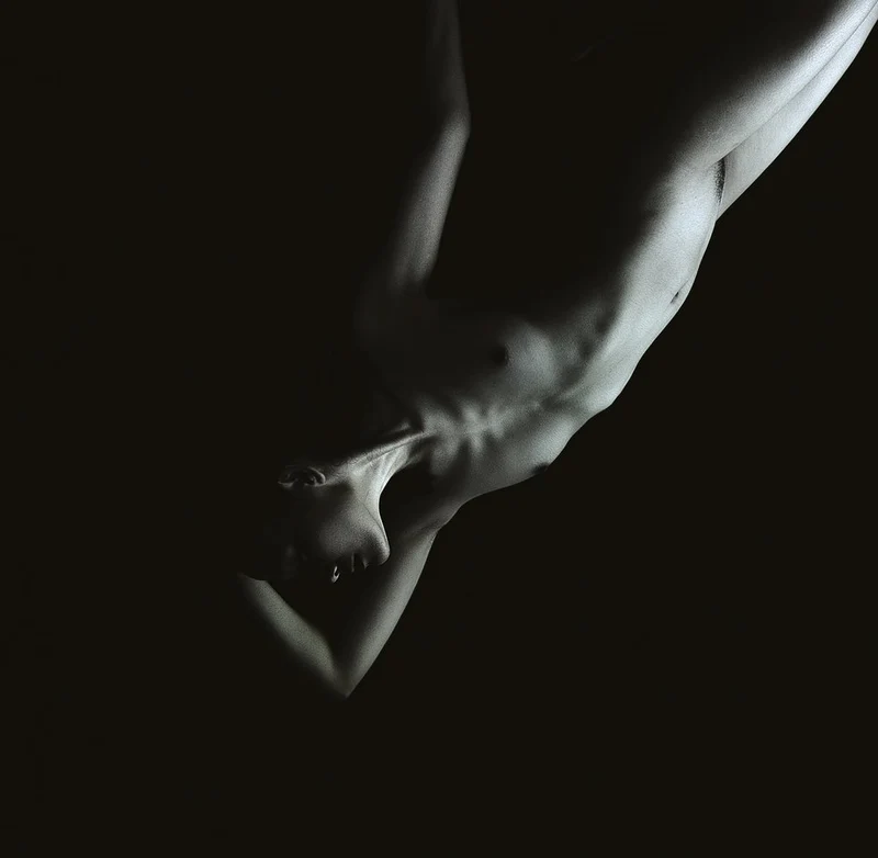 Elegant Form Study