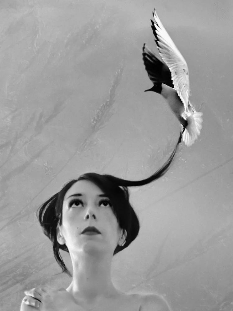 Dream of Flight