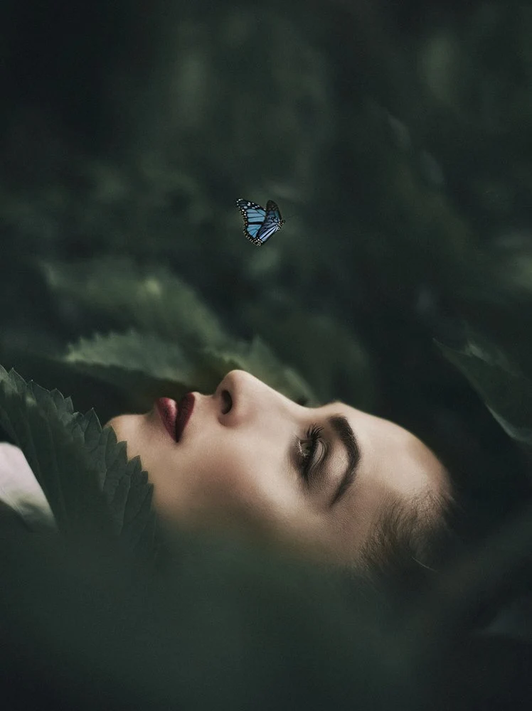Serene Butterfly Dream